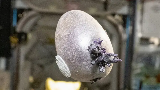 Жуткое существо: фото астронавта NASA испугало Сеть ➤ Infotime.co