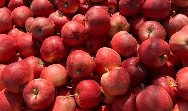 Почему блестят магазинные яблоки и безопасны ли они