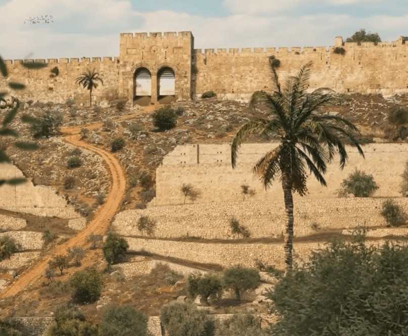 В Ізраїлі відродили біблійне дерево з насіння віком 2000 років (відео) ➤ Infotime.co