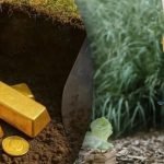 Чоловік знайшов під землею скарб, коли копав яму біля будинку (фото) ➤ Infotime.co