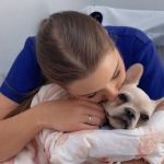 Женщина привезла щенка к ветеринару и теперь может попасть в тюрьму: что произошло ➤ Infotime.co