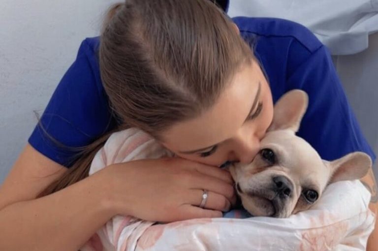 Женщина привезла щенка к ветеринару и теперь может попасть в тюрьму: что произошло ➤ Infotime.co