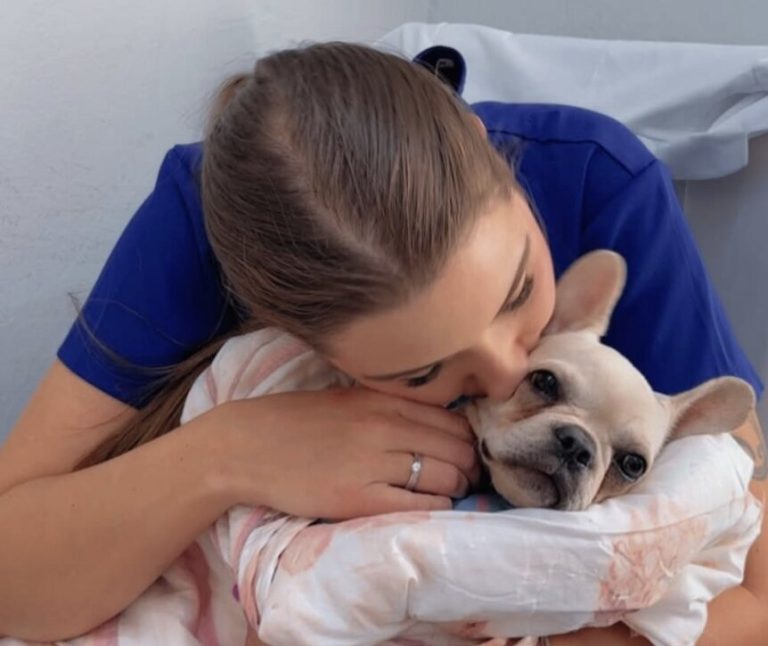 Женщина привезла щенка к ветеринару и теперь может попасть в тюрьму: что произошло ➤ Главное.net