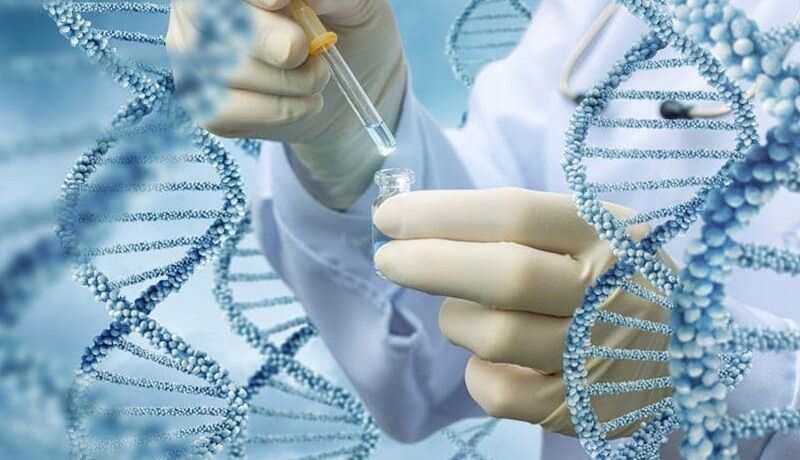 Пара для развлечения сделала тест ДНК и раскрыла семейную тайну ➤ Infotime.co