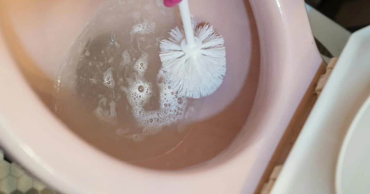 Почему туалетный ершик может быть опасен