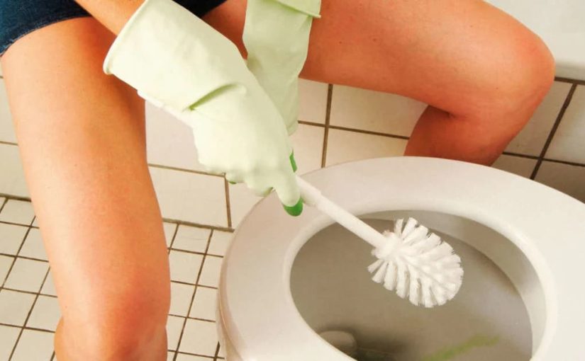 Почему туалетный ершик может быть опасен ➤ Infotime.co
