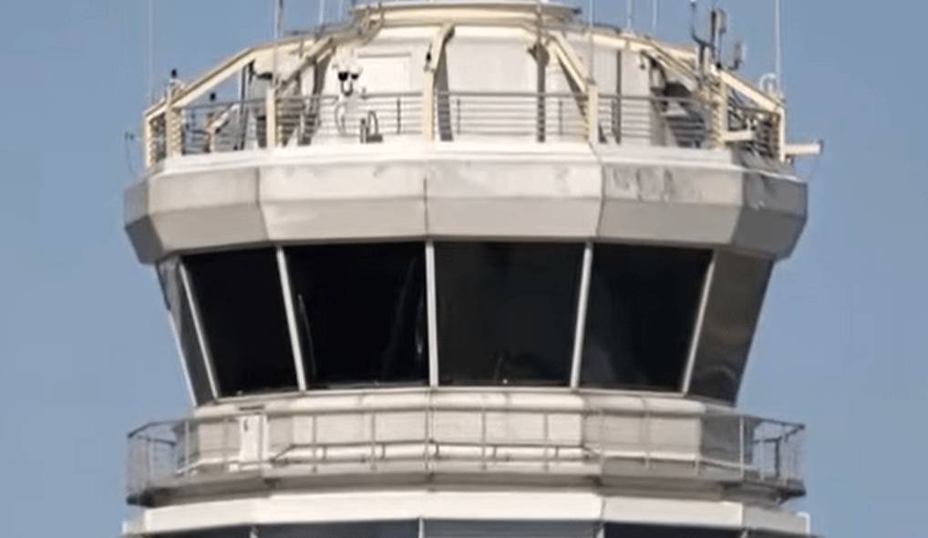 Дивні звуки “мяв-мяв-мяв” почули авіадиспетчери: хто їх видавав (відео)