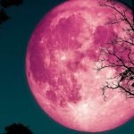 «Клубничная Луна» появится над Землей: когда и как ее наблюдать ➤ Infotime.co