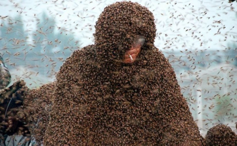 Miles de abejas rodearon a un hombre y se negaron a volar ➤ Infotime.co