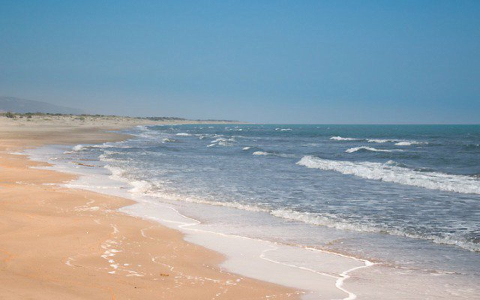 Восстановить Азовское море до довоенного состояния невозможно — биолог