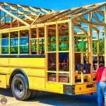 Niemand glaubte an ihre Idee, bis das Ergebnis sichtbar wurde: ein alter Schulbus, verwandelt in ein Traumhaus ➤ Infotime.co