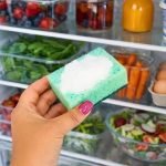 Warum man einen Schwamm in den Kühlschrank legt: Ein einfacher Lifehack für länger frische Lebensmittel ➤ Infotime.co