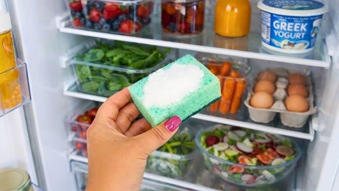 Warum man einen Schwamm in den Kühlschrank legt: Ein einfacher Lifehack für länger frische Lebensmittel ➤ Infotime.co