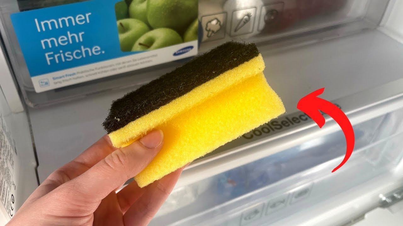 Warum man einen Schwamm in den Kühlschrank legt: Ein einfacher Lifehack für länger frische Lebensmittel