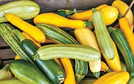 Не все одинаково вкусны: какие кабачки лучше не покупать