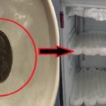 Зачем класть монету в морозильную камеру ➤ Infotime.co