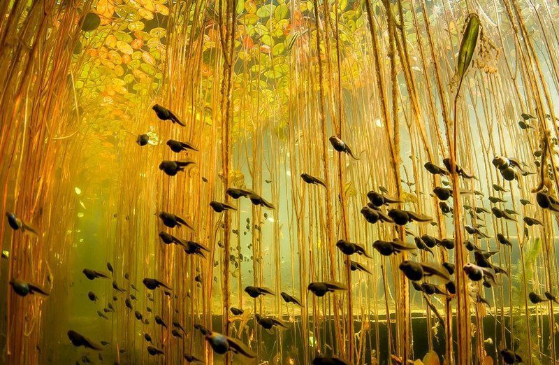 Застиглі у 1911 році: як катастрофічний землетрус створив наймоторошніше озеро планети ➤ Главное.net