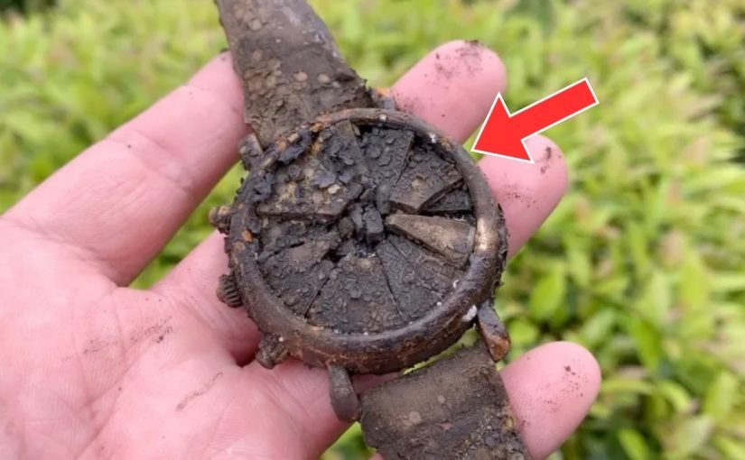 Seorang lelaki menemui seutas jam tangan lama di tamannya—seorang tukang emas tidak percaya dengan apa yang dilihatnya ➤ Infotime.co