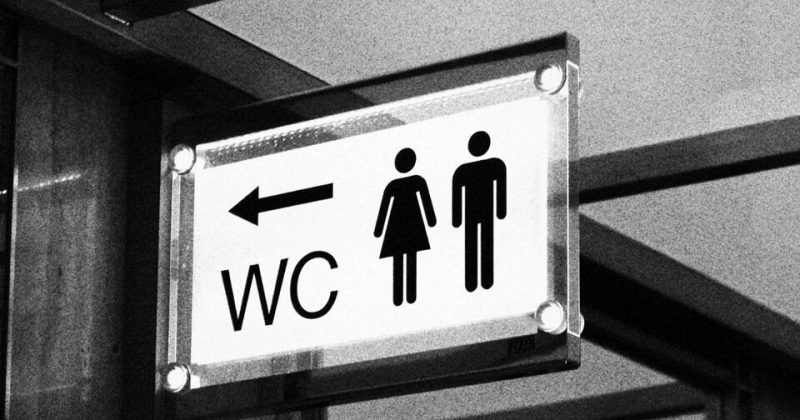 Тайна букв WC: что на самом деле означает популярную надпись на дверях туалетов