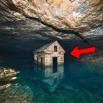 Mereka menjelajah ke bawah tanah—dan menemukan sebuah desa yang seharusnya tidak ada ➤ Infotime.co
