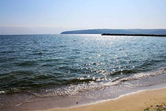 Риба з Тихого океану опинилася у Чорному морі та зацікавила рестораторів