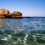 Рыба из Тихого океана оказалась в Черном море и заинтересовала рестораторов ➤ Infotime.co