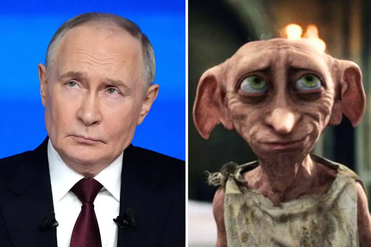 Россиянка восприняла Добби из Гарри Поттера за Путина и угрожала полицией (видео)