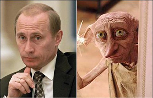 Россиянка восприняла Добби из Гарри Поттера за Путина и угрожала полицией (видео) ➤ Infotime.co